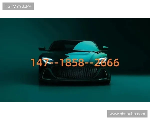 欧博私网一比一股东的风险控制策略与应对措施